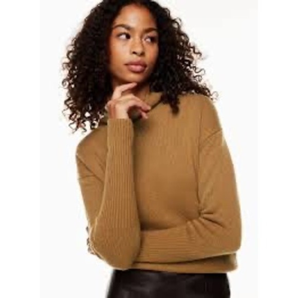 Wilfred Sweaters - Wilfred Aritzia Brown 100% Cashmere Turtleneck Sweater 2XS  Camel EUC